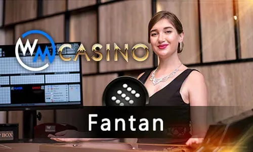 Beginner's Guide to Live Casino